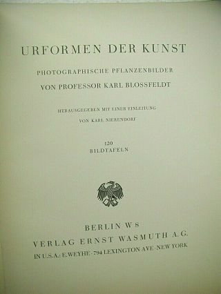 Urformen Der Kunst Photographische Pflanzenbilder von Professor Karl Blossfeldt 2