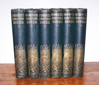 1891 A History Of British Birds By F O Morris 6 Vols 394 X Hand Coloured Plates