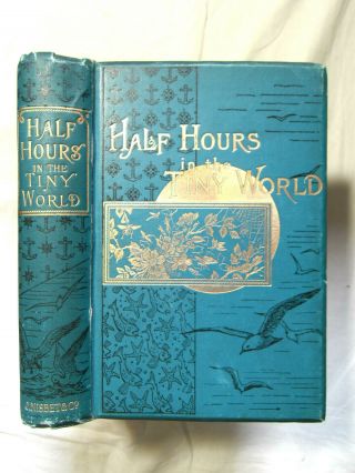 Half Hours In The Tiny World - Wonders Of Insect Life - Many Illustrations 1899