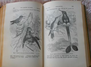 1906 Descent of Man & Selection by Charles Darwin Antiquarian Natural History 5
