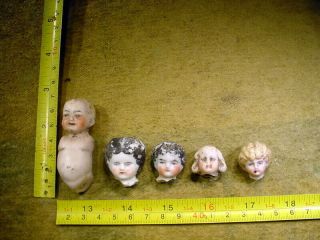 5 X Excavated Vintage Victorian Painted Doll Head Hertwig & Co Age 1860 A 13041