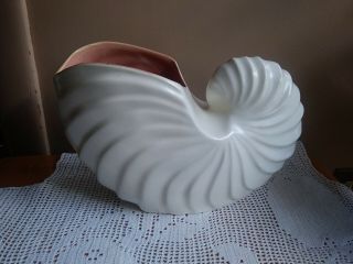 Catalina Pottery Gladding Mcbean C 326 Shell Vase Ivory & Coral Vintage