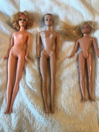 3 Vintage Barbie Dolls,  Francie Brown Eyes 1966 Mattel,  Midge,  Skipper