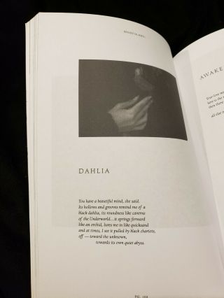 Ophelia Wears Black poetry book Segovia Amil Occult Gothic 5