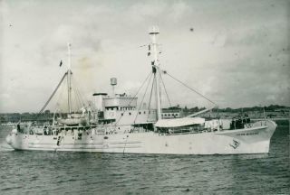 Shipping: Cargo: John Briscoe - Vintage Photo