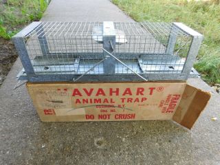 Vintage Havahart No.  1 Trap W/box Allcock Manufacturing Ossining,  N.  Y.