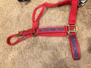 Rare Red Halter With Aztec Design By Ark Mfg Inc - Vintage.  Comes With Lead Rope