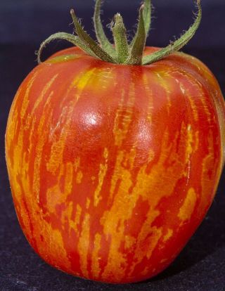 20 Seeds Vintage Wine Tomato