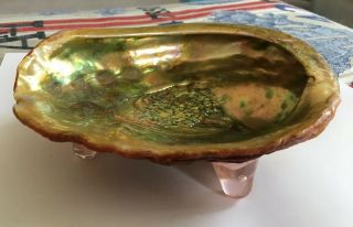Vtg Nautical Real Lrg Abalone Mother Of Pearl Sea Shell Footed Dish Bowl