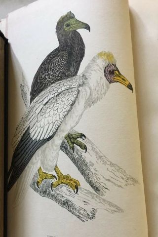 A History Of British Birds,  Morris,  8 Volumes 8
