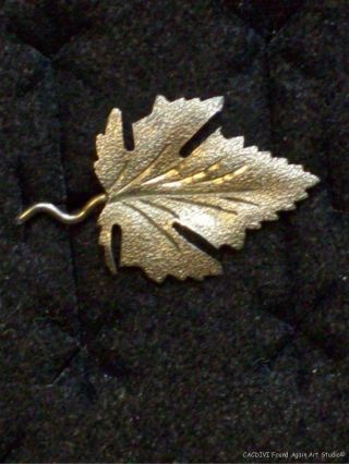Vintage Leaf Pin Sterling Silver Dainty Engraved Flora Design Old C Clasp Brooch