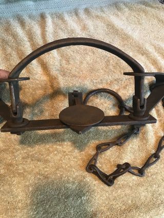Vintage Newhouse 4 Small Pan Double Long Spring Trap Trapping Victor Sargent 3