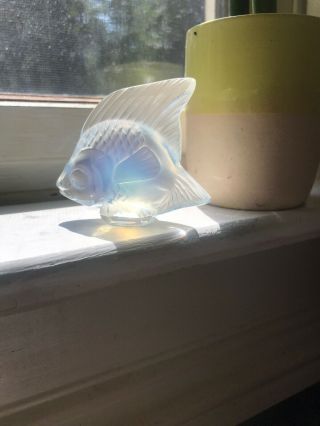 Vintage Lalique White Opalescent Signed Fish - Perfect