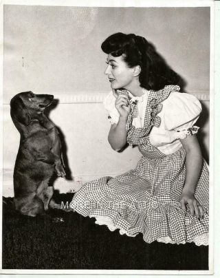 Joan Crawford Vintage News Candid Photo Dog War Fund