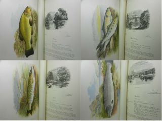 BRITISH FRESH - WATER FISHES BY WILLIAM HOUGHTON 1879 First Edition In Two Volumes 10