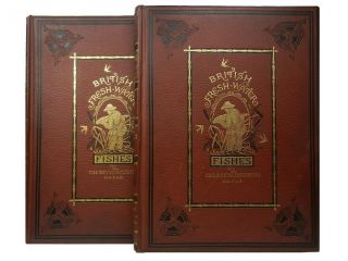 British Fresh - Water Fishes By William Houghton 1879 First Edition In Two Volumes
