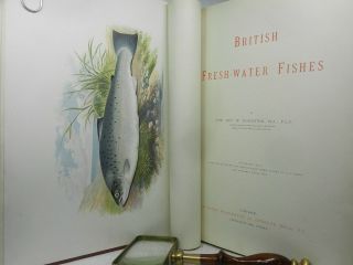 BRITISH FRESH - WATER FISHES BY WILLIAM HOUGHTON 1879 First Edition In Two Volumes 3