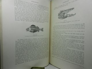 BRITISH FRESH - WATER FISHES BY WILLIAM HOUGHTON 1879 First Edition In Two Volumes 7