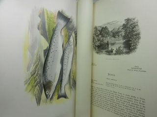 BRITISH FRESH - WATER FISHES BY WILLIAM HOUGHTON 1879 First Edition In Two Volumes 9