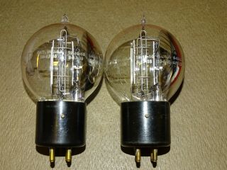 Pair,  Western Electric 101D Tennis Ball Radio/Audio Tubes,  Strong on Amplitrex 4