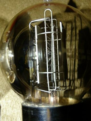 Pair,  Western Electric 101D Tennis Ball Radio/Audio Tubes,  Strong on Amplitrex 8