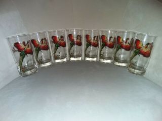 Vintage Set Of 8 Water Glasses (pheasant)