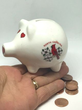 Vintage Souvenir Piggy Bank North Carolina W/cardinal&dogwood Blossoms Cute One