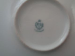 Vintage R.  S.  Germany Bowl With A Rose Motif 3