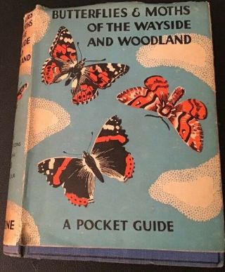 1949 Butterflies & Moths Of The Wayside & Woodlands By W.  J.  Stokoe H/b With D/j