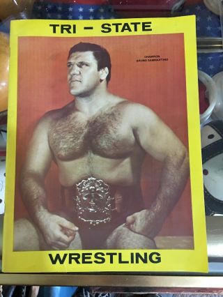Vintage Tri - State Wrestling Program Bruno Sammartino Wwwf Portrait Of A Champion