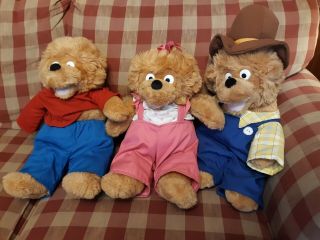 Vintage 1993 The Berenstain Bears Plush Papa Sister Brother