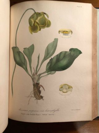 Scarce 1843 Flora Of The State Of York 2 Vol Set; Hand Colored Plates