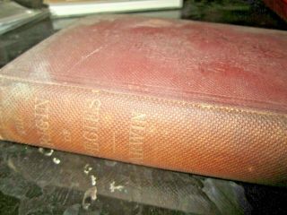 Origin Of The Species First Edition First Printing Charles Darwin 1860 Appleton