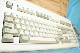 Ibm Model M Keyboard 1391401 1988 - A,  - All W/ Cable,  Cover
