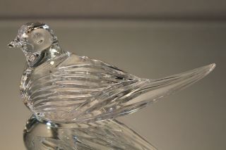 Vintage Waterford Crystal Dove Sitting Bird Paperweight Signed Etched 3