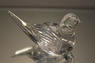Vintage Waterford Crystal Dove Sitting Bird Paperweight Signed Etched 4