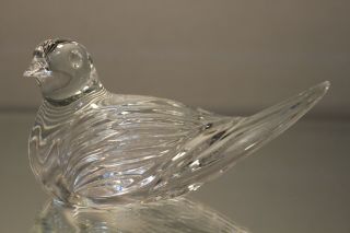 Vintage Waterford Crystal Dove Sitting Bird Paperweight Signed Etched 5