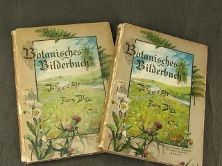 Botanisches Bilderbuch Für Jung Und Alt (german Edition) 1898