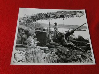 Vintage Ww2 War Press Photo Pacific Anti - Aircraft Guinea