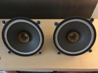 Atelier Rullit Alnico Silver Lab 9 Speakers Drivers 7