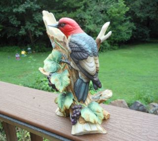 Vintage Red Headed Woodpecker By Andrea By Sadek Porcelain Bird Figurine 9.  25 "