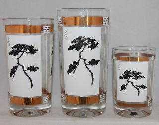 12 Vintage Oriental Asian Tumblers Glasses Black Gold Bonsai Tree Japanese Htf