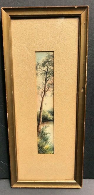 Vintage Old Signed Watercolor Trees Landscape Fine Art Painting Listed Artist ?