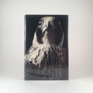 The Peregrine By J.  A.  Baker First American Edition 1967 1st Printing Falcon Bird