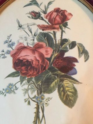 Vintage Botanical Flower Floral Print Red Oval Frame 7