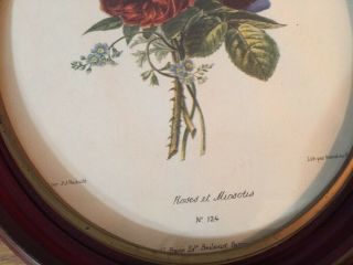 Vintage Botanical Flower Floral Print Red Oval Frame 8