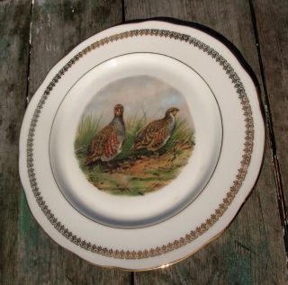 French Vintage Emaux De Limoges Porcelain Plate France Marked Partridges Birds