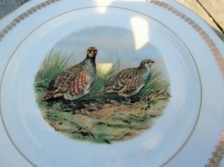 French Vintage Emaux De Limoges Porcelain Plate France Marked Partridges Birds 3