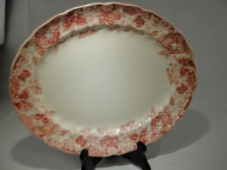 Vintage Johnson Brothers Strawberry Fair Oval Platter 11 1/2 " W Pink White Jbstf