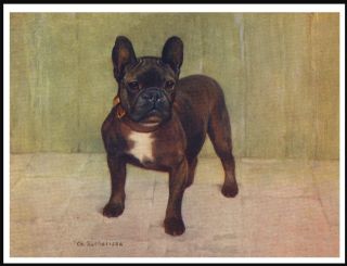 French Bulldog Early Named Champion Lovely Vintage Style Dog Art Print Poster